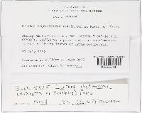 Image Associated With the Occurrence