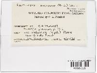 Image Associated With the Occurrence