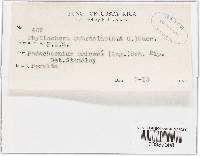 Image Associated With the Occurrence