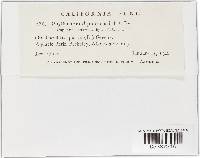 Image Associated With the Occurrence