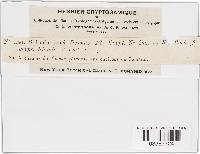 Image Associated With the Occurrence