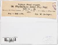 Image Associated With the Occurrence