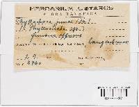 Image Associated With the Occurrence