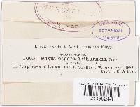 Image Associated With the Occurrence