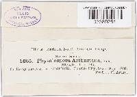 Image Associated With the Occurrence