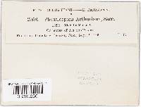 Image Associated With the Occurrence