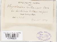 Image Associated With the Occurrence