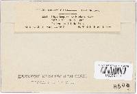 Image Associated With the Occurrence