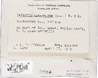 Image Associated With the Occurrence