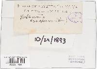 Image Associated With the Occurrence