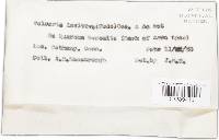 Image Associated With the Occurrence