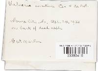 Image Associated With the Occurrence