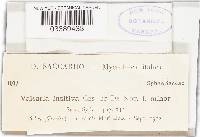 Image Associated With the Occurrence