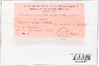 Image Associated With the Occurrence