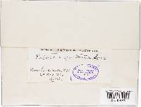 Image Associated With the Occurrence