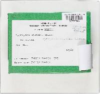 Hypoxylon duranii image