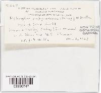 Thumbnail image of current specimen