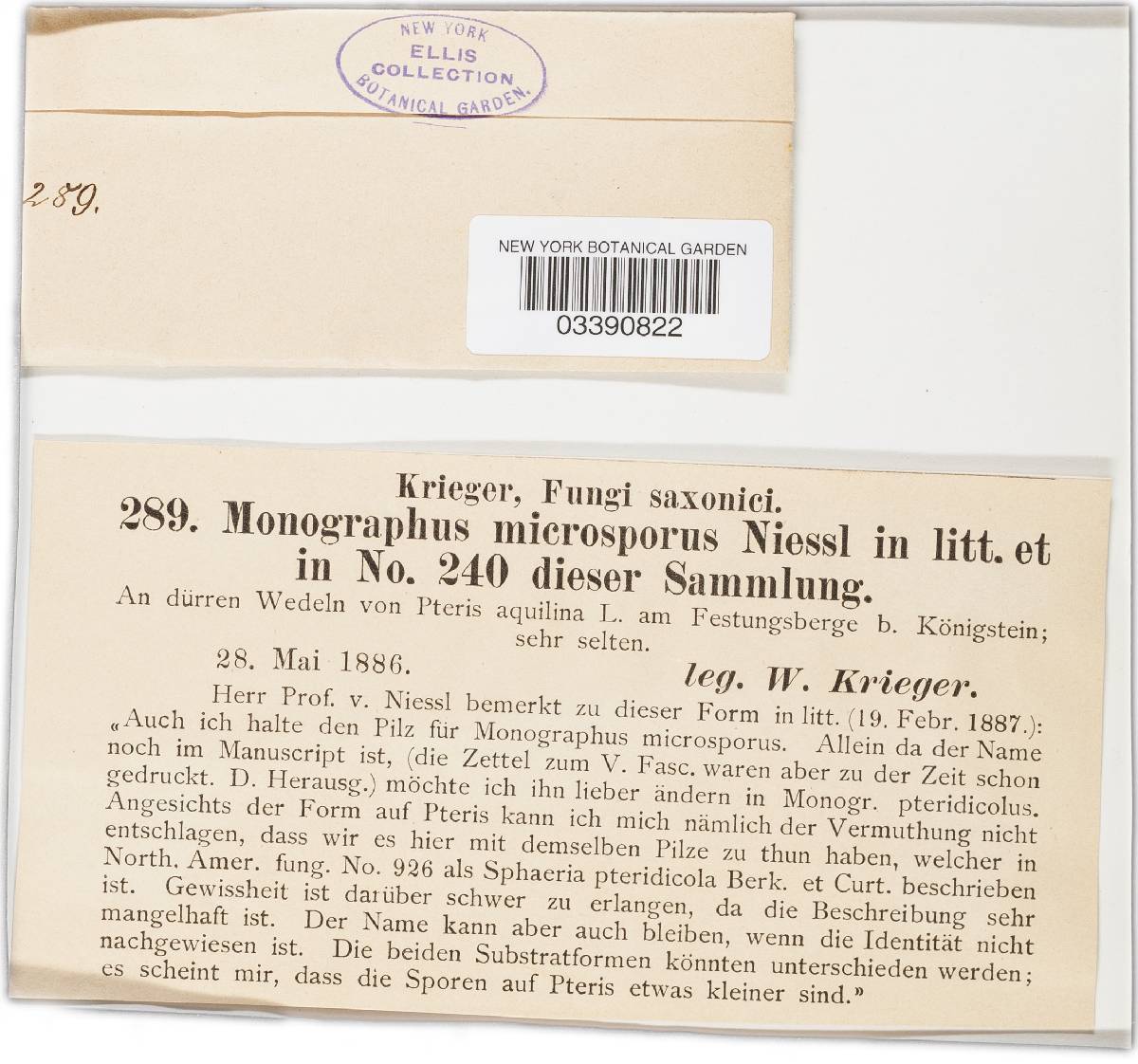 Scirrhia microspora image