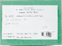 Thumbnail image of current specimen