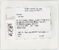 Image Associated With the Occurrence