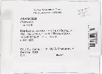 Hypoxylon duranii image