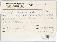 Image Associated With the Occurrence