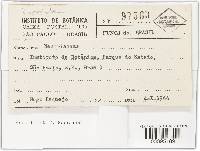 Image Associated With the Occurrence