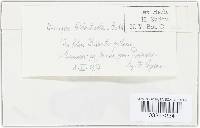 Image Associated With the Occurrence