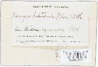 Image Associated With the Occurrence