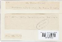 Image Associated With the Occurrence