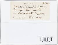 Image Associated With the Occurrence