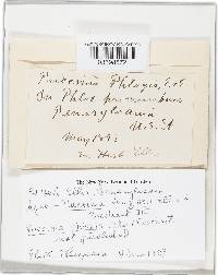 Image Associated With the Occurrence