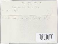 Image Associated With the Occurrence