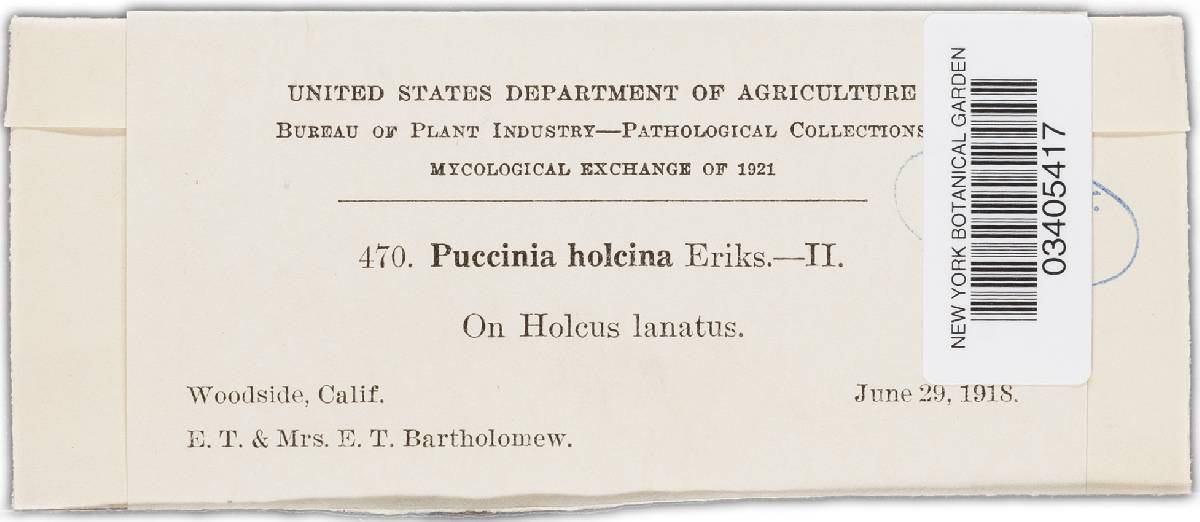 Puccinia hordei image