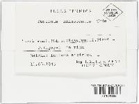 Image Associated With the Occurrence