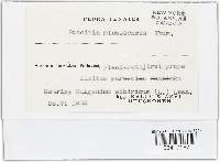 Image Associated With the Occurrence