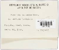 Image Associated With the Occurrence