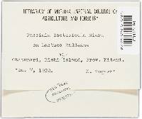 Image Associated With the Occurrence