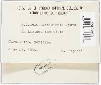 Image Associated With the Occurrence