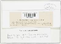 Image Associated With the Occurrence