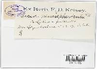 Image Associated With the Occurrence