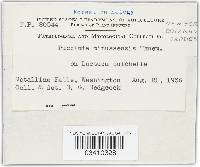 Image Associated With the Occurrence