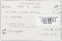 Image Associated With the Occurrence