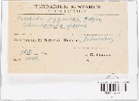 Image Associated With the Occurrence