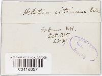 Image Associated With the Occurrence