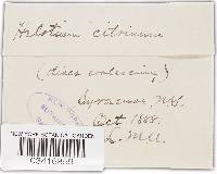 Image Associated With the Occurrence