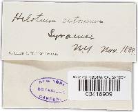 Image Associated With the Occurrence