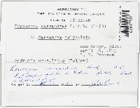 Image Associated With the Occurrence