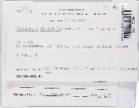 Thumbnail image of current specimen