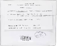 Thumbnail image of current specimen